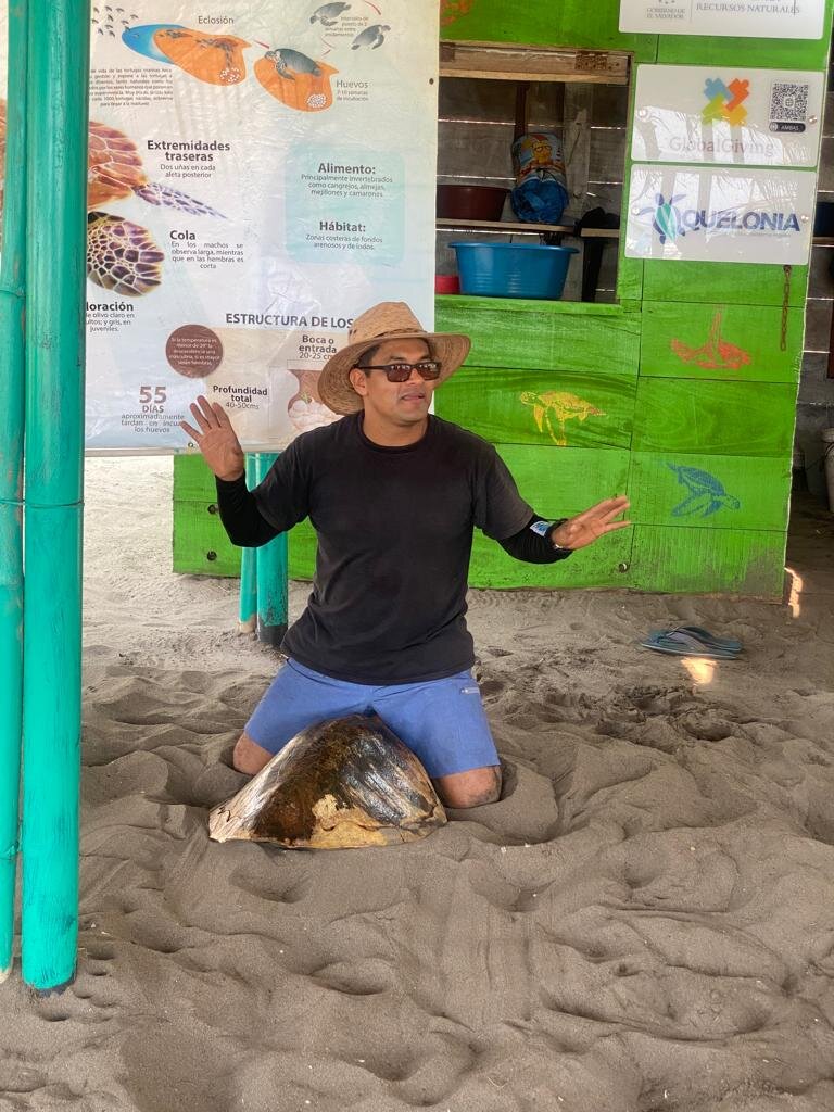 Save 60,000 Sea Turtles in El Salvador