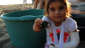 Girl holding sea turtle hatchling