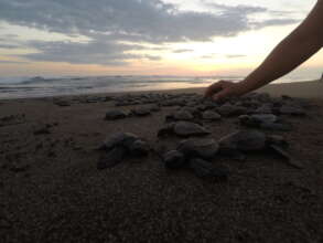 releasing life