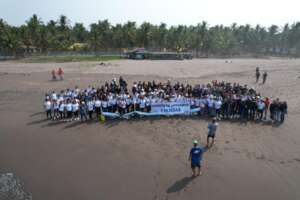 release of sea turtles