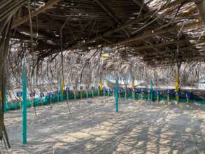 egg incubation site