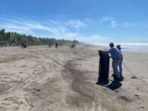 academic groups cleaning the beach