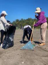 7 academic groups cleaning the beach
