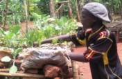 Skilling   the young for Job Creation during COVID