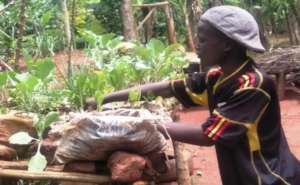 Skilling   the young for Job Creation during COVID