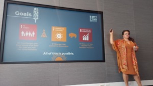 IEI Founder & CEO, Cheri Smith at MIT Solve Finals
