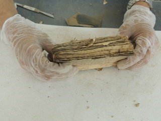 Preservation (30) ancient and rare Yemeni