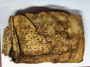Manuscript in botany in need of restoration