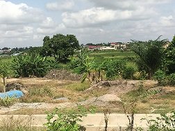 Restoring Riparian Ecosystems in Ghana