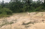 Restoring Riparian Ecosystems in Ghana