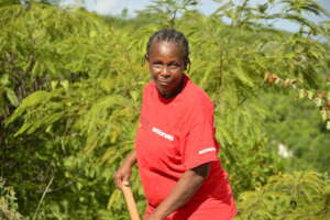 Luciane, farming.