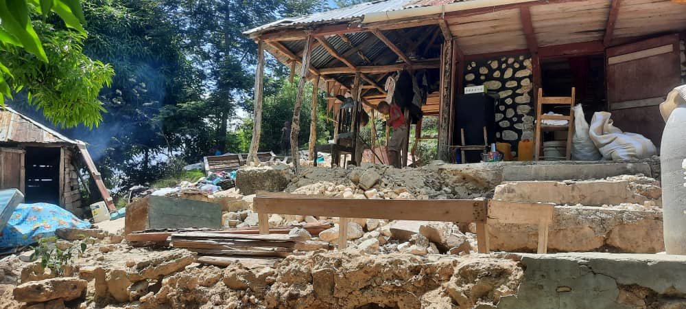 Earthquake Solidarity Project 4 Haiti by Haitians