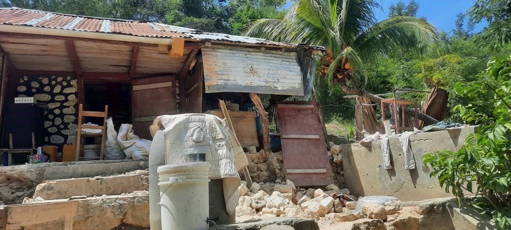 Earthquake Solidarity Project 4 Haiti by Haitians