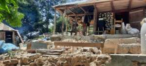 Home destroyed