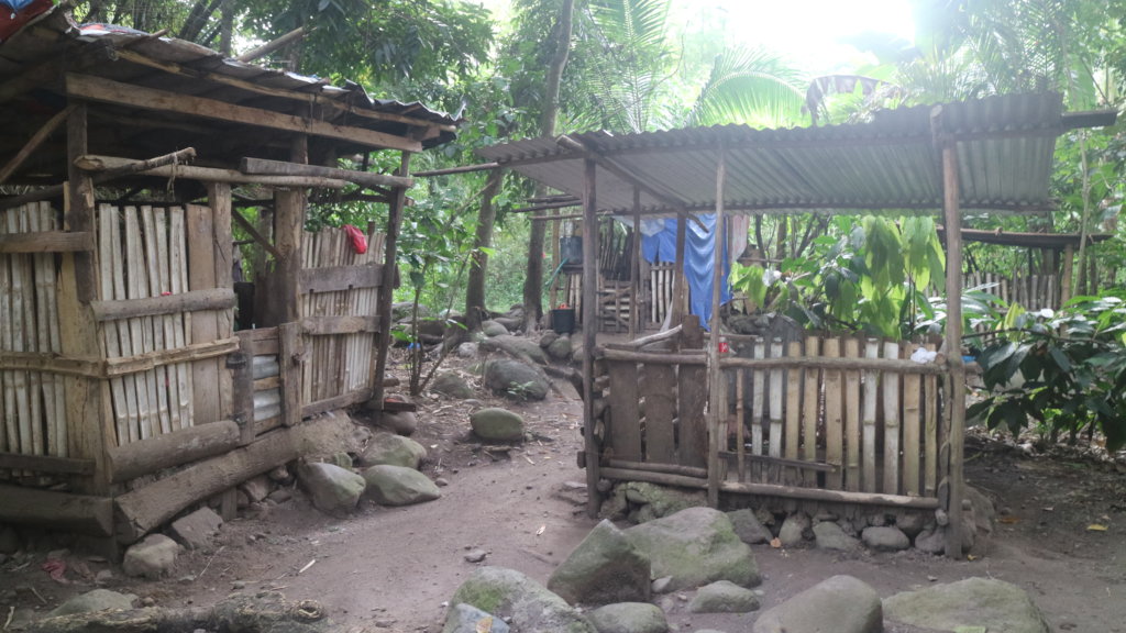 Water system for orphanage and 70 hog raisers