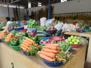 Vegetable production farm