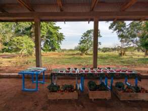The vegetables exhibition