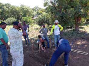 Preparing beds for tomato planting