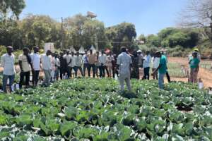 Farmers in the demo plot
