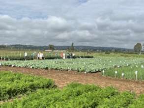 Our trial station on show at Open Day in Haramaya