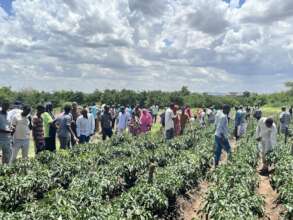 Open Day at a farmer's field near Dire Dawa