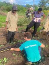 Planting tomatoes at Salumu's field