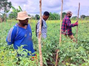 Training in Shabani's field