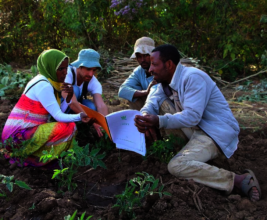 Knowledge transfer - the key to a better tomorrow