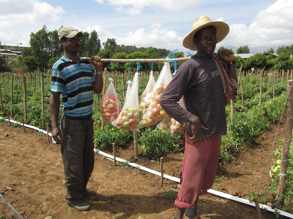 Free Farmers from Poverty & Educate their Children