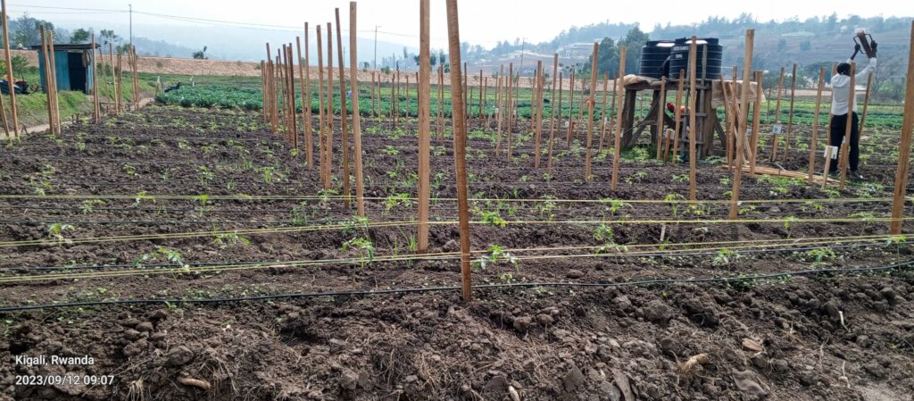 Free Farmers from Poverty & Educate their Children