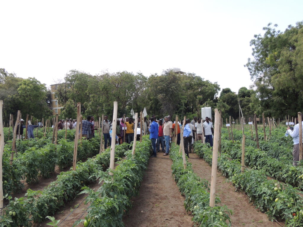 Free Farmers from Poverty & Educate their Children