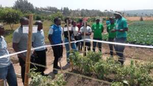 A group of farmers visiting