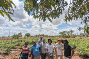 The team in the field