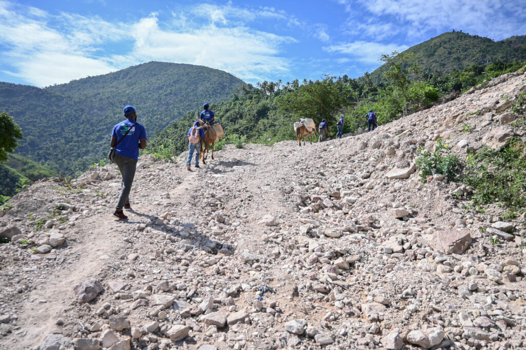 Southern Haiti Earthquake Relief