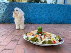 Momo with her first Fiambre tradition, we miss you