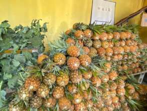 Fruits and veggies on display!