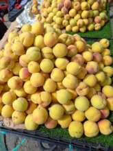 All the peaches that we bought and brought!