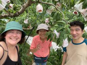 Women leading agriculture and peaches in Japan!