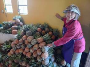 Sheltering the pineapple!
