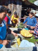Cutting the pineapple to eat in place