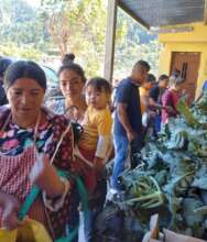 Getting some broccoli and potato