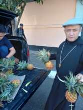 We also took pineapple to Fray Lubin in zone 1