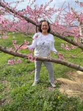 Peach Blossom in Yamanashi, Japan
