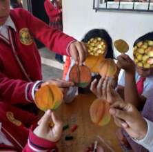Peach crafts in Concepcion Pinula School