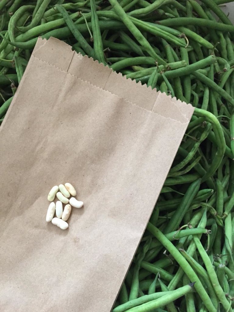 Food creativity: healthier families in Guatemala