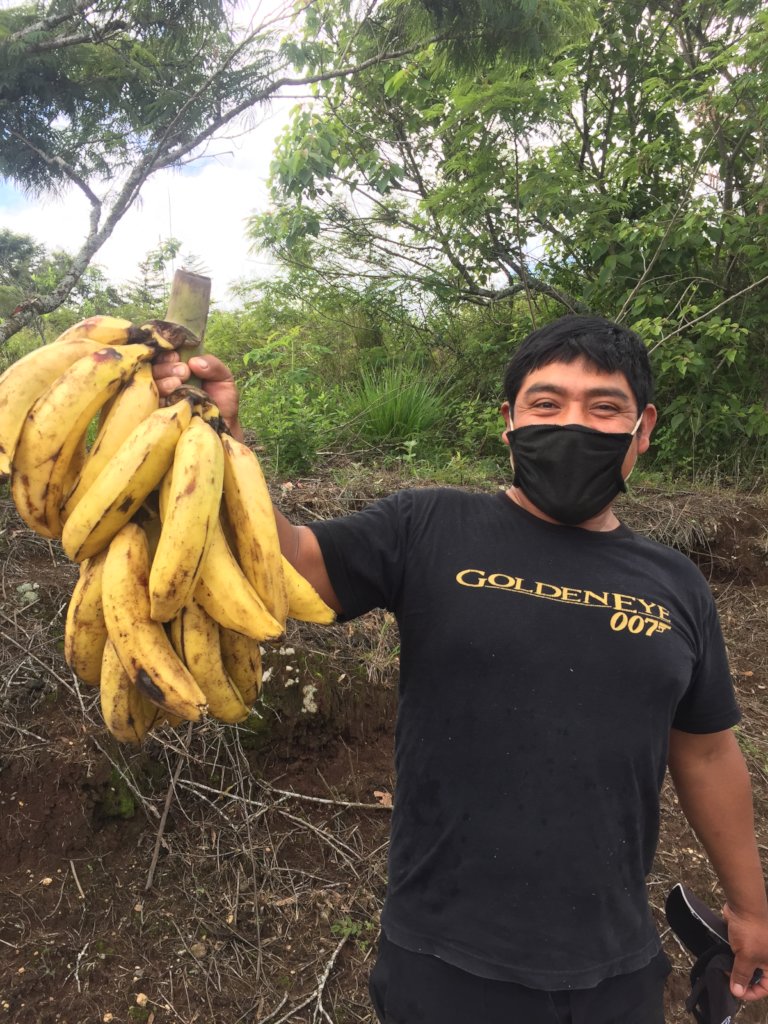 Food creativity: healthier families in Guatemala