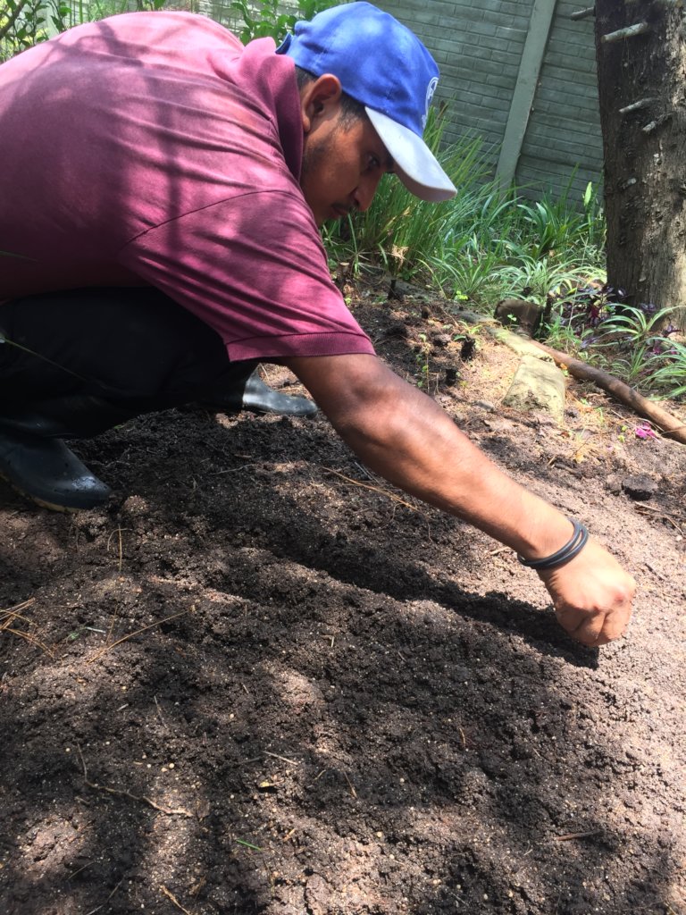 Food creativity: healthier families in Guatemala