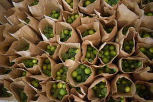 Broccoli and lemon basket