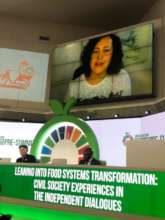Sharing our story at UN Food Systems Pre-Summit