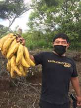 Felix with lots of potassium!